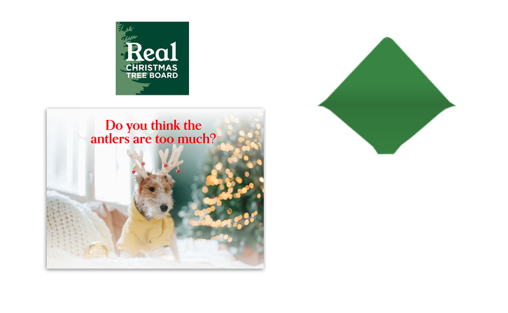 Christmas Tree Promotion eCard Campaign