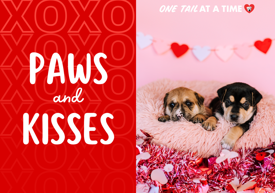 A Valentine's Day eCard from One Tail at a Time featuring two puppies in a festive background.