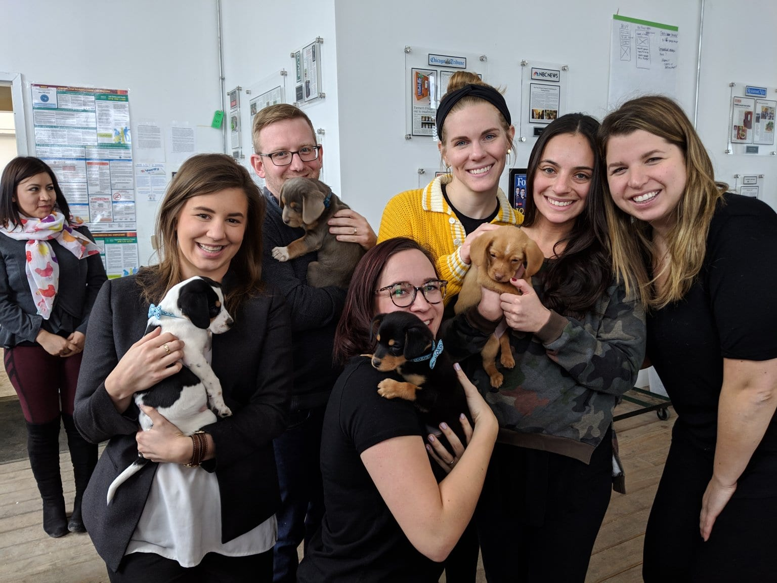 Members of the One Tail at a Time team holding puppies as part of the puppygram program.