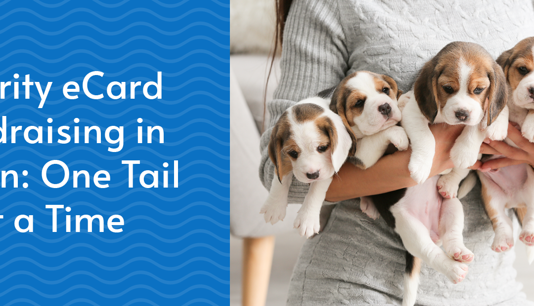 Charity eCard Fundraising in Action: One Tail at a Time