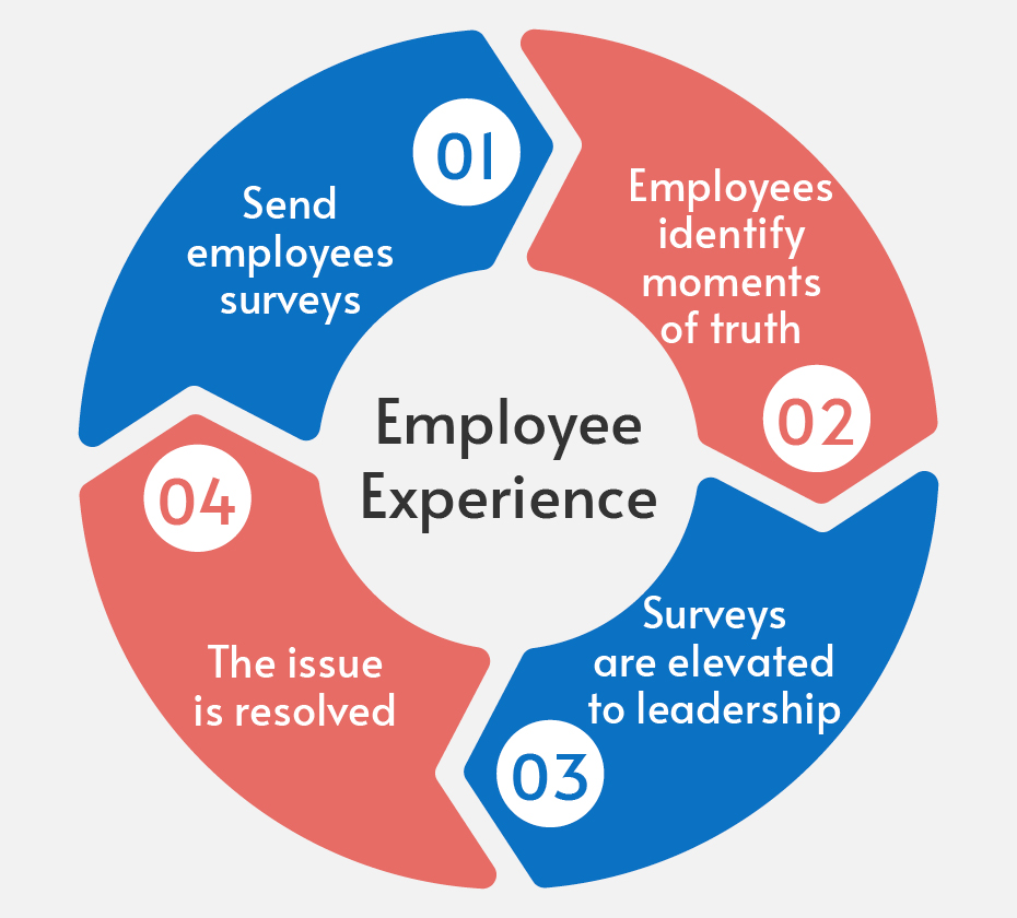 The employee experience cycle, written out below.