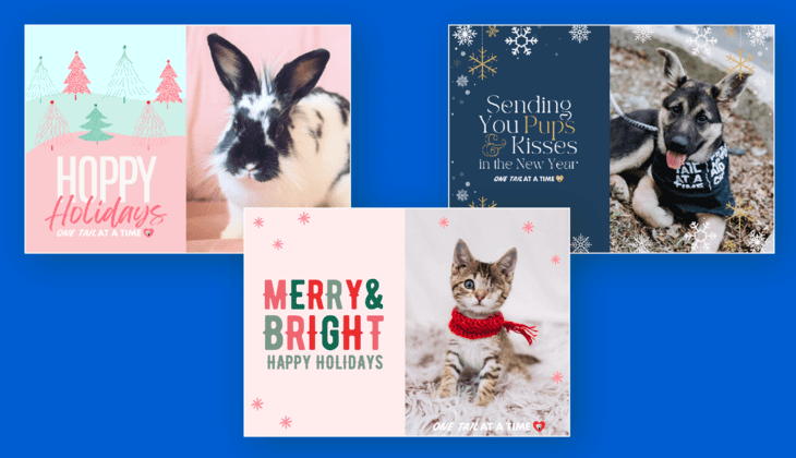 These three Christmas charity eCards are from One Tail At A Time and feature different animals.
