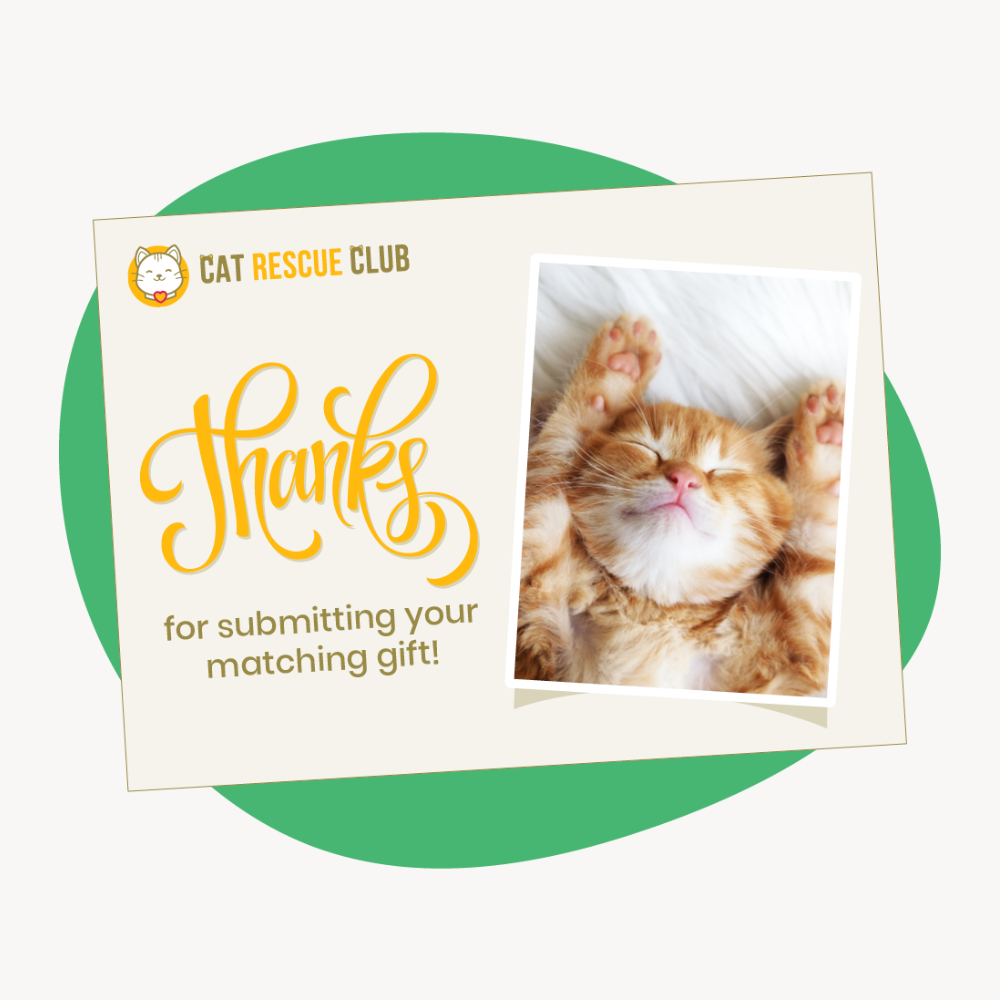 Example thank-you eCard acknowledging a matching gift submission