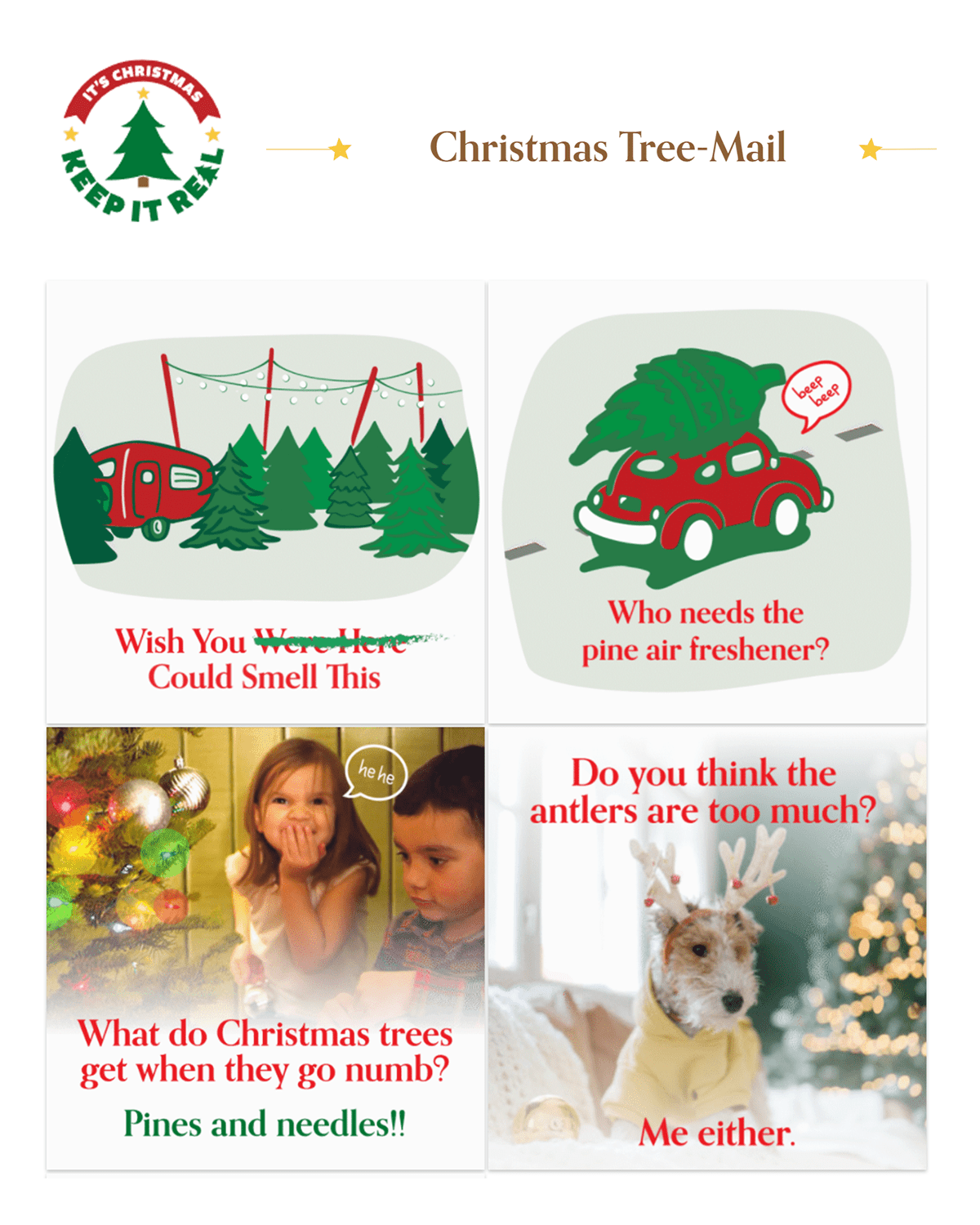 Keep it Real Christmas Trees