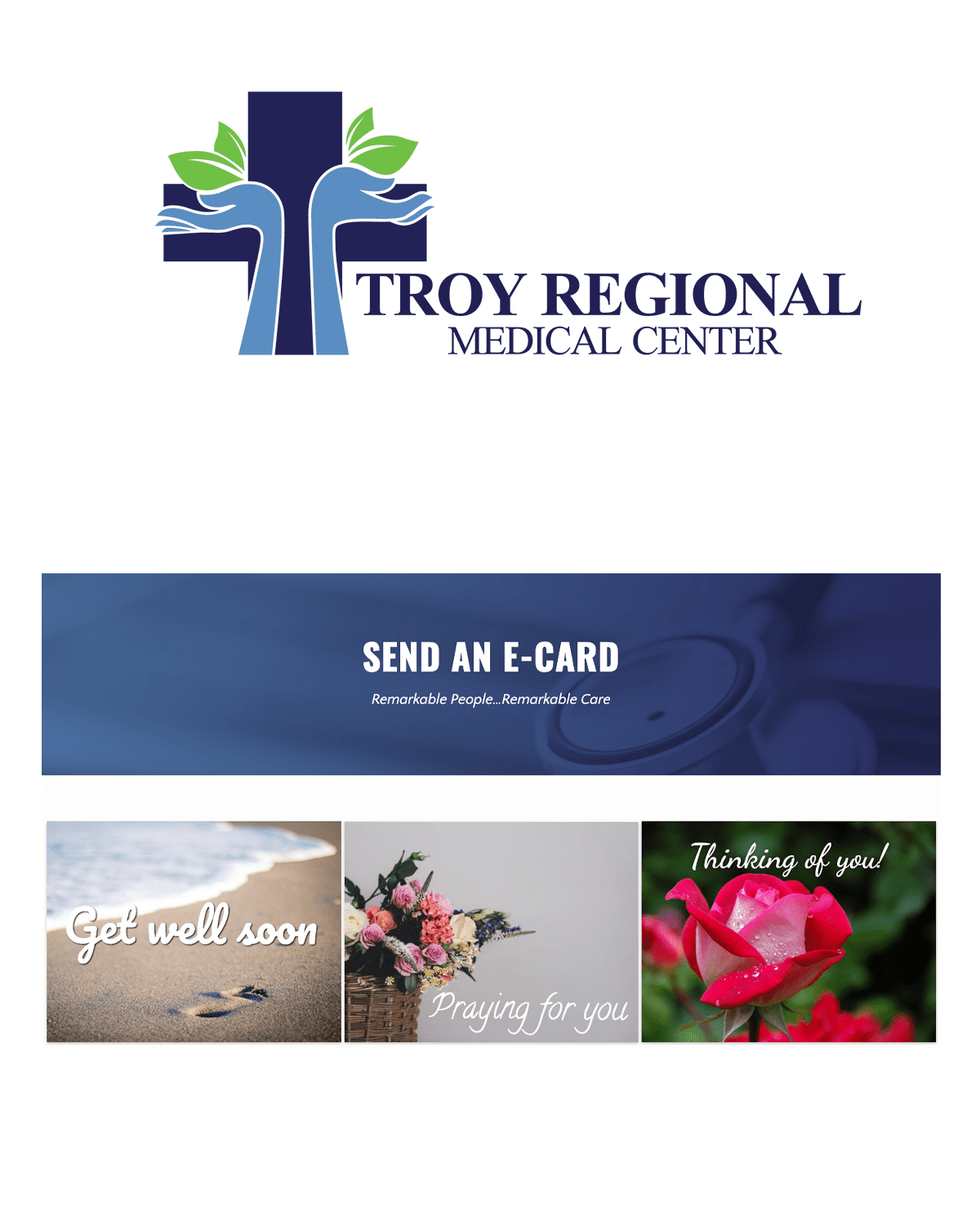 Troy Regional
