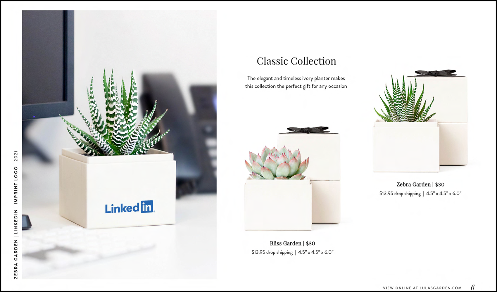 These are examples of succulent gifts from the corporate gifting company Lula’s Garden. The classic collection includes Bliss and Zebra plants.