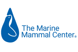 The Marine Mammal Center designed and sold nonprofit donation cards with our platform.