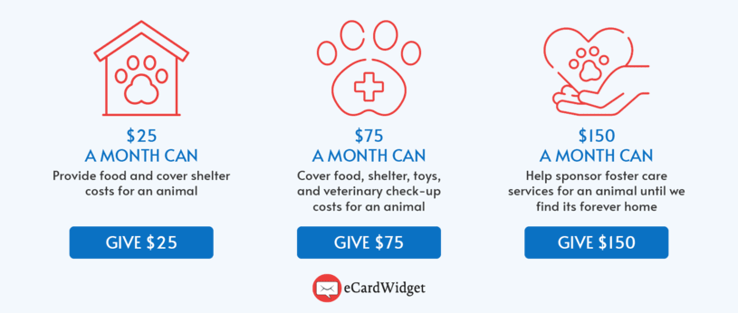 This image shows how an animal shelter can convey impact with donation amounts as a donor retention strategy.